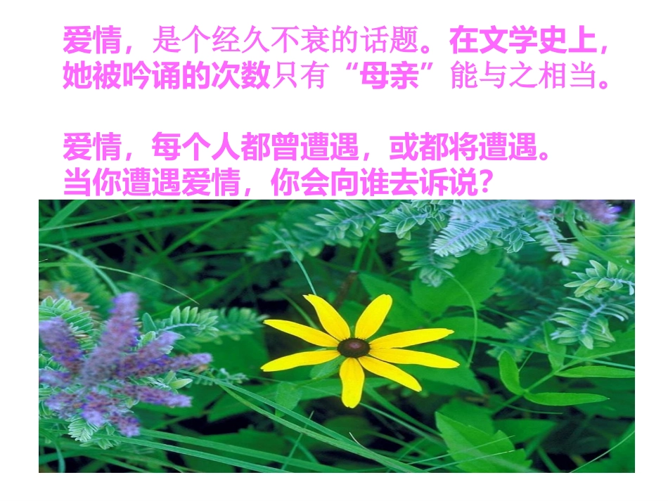 致女儿的信课件_第3页