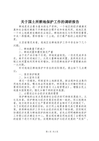 关于国土所耕地保护工作的调研报告