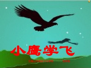 苏教版二年级上册语文《小鹰学飞》公开课课件PPT邓其昌