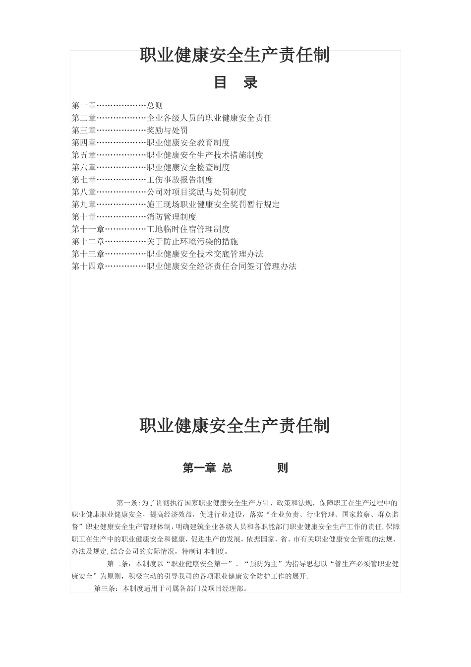 职业健康安全生产责任制_第1页