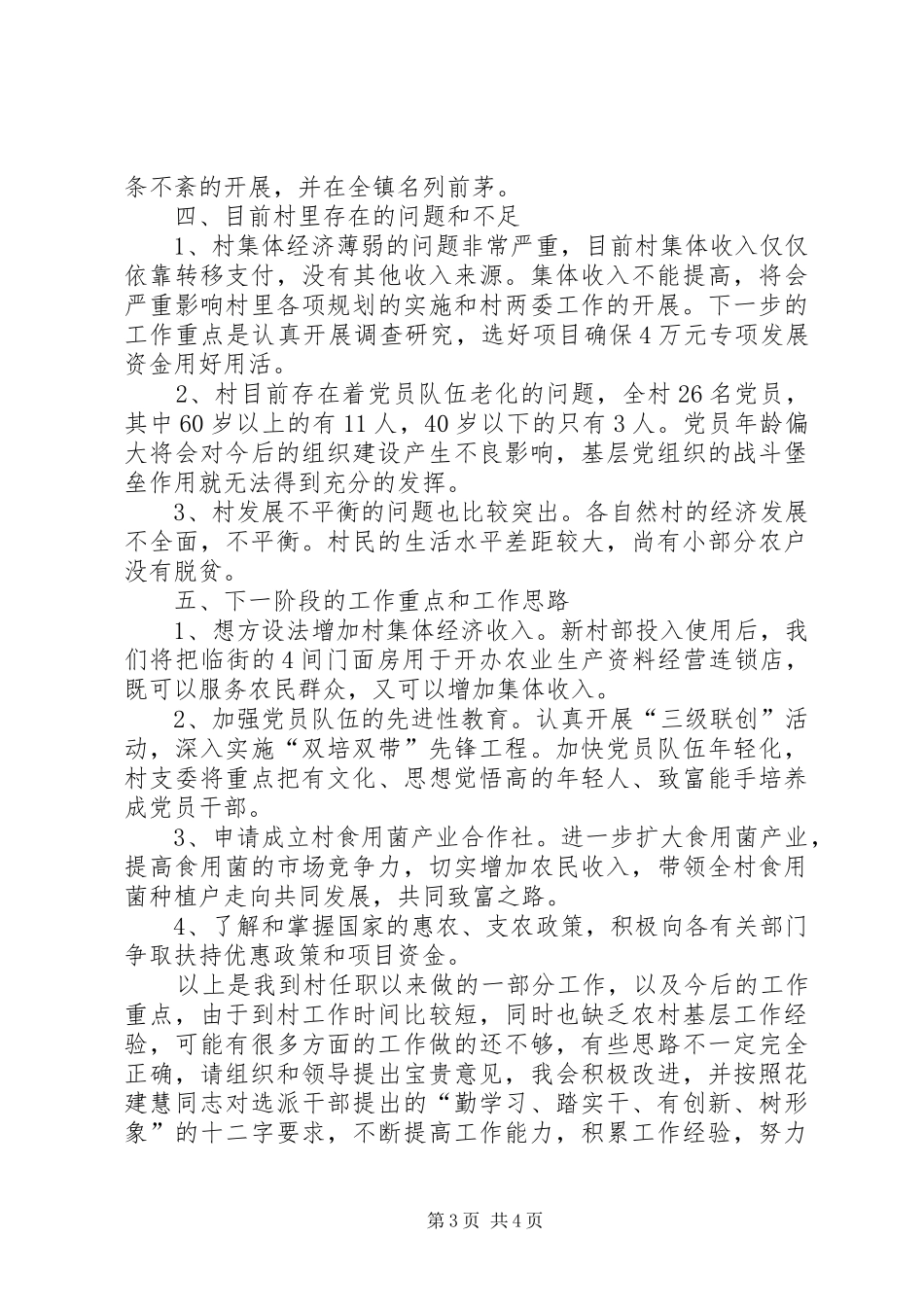 村委会书记工作报告_第3页