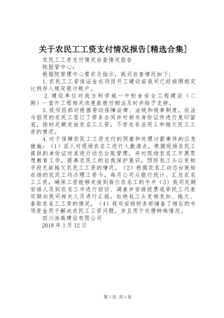 关于农民工工资支付情况报告[精选合集]