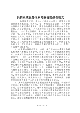 供销系统服务体系考察情况报告范文