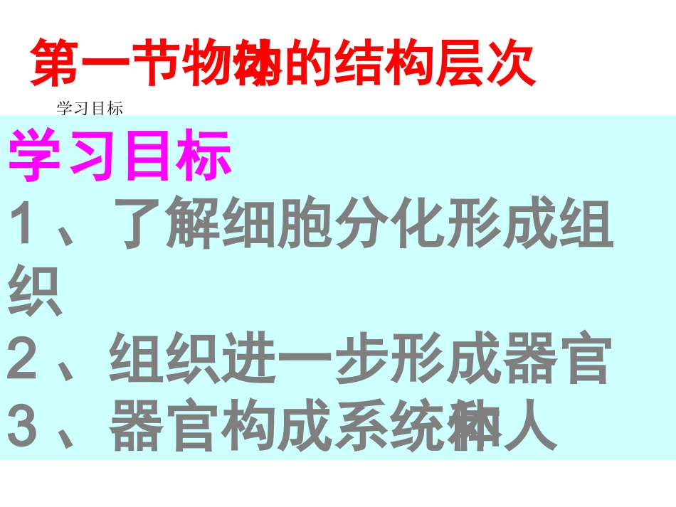 细胞构成动物体_第3页