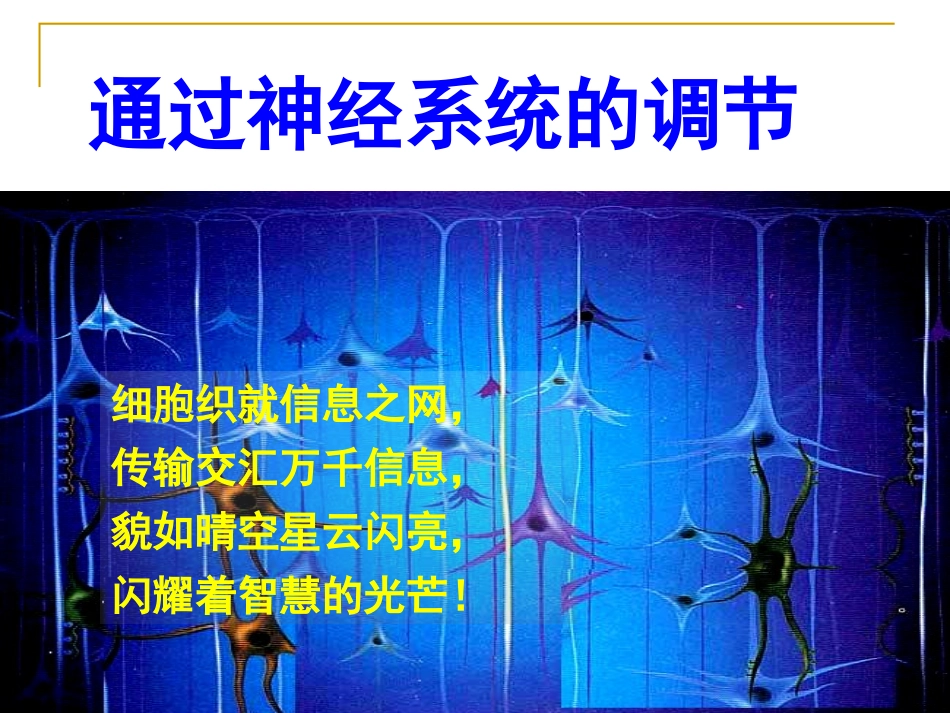 通过神经系统的调节课件(用)_第3页