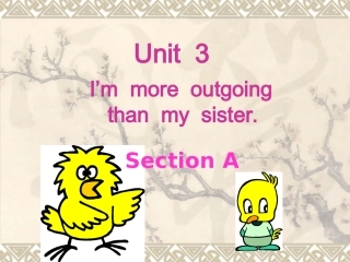 新目标英语八年级上Unit3I’mmoreoutgoingthanmysisterSectionA课件（19页）