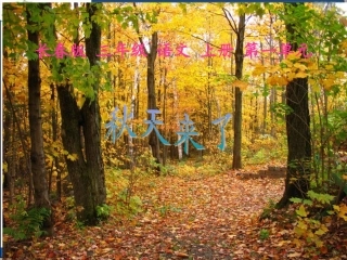 （长春版）三年级语文上册课件秋天来了1