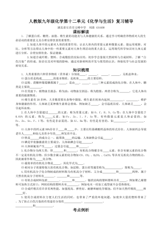 人教版九年级化学第十二单元《化学与生活》复习辅导