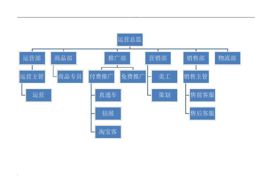 电商公司运营部企业组织结构及岗位职责(DOC66页)_第2页