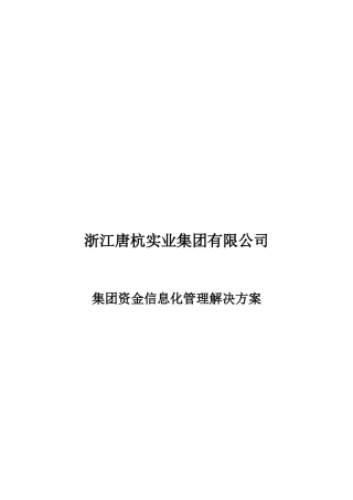 集团资金信息化管理解决方案研讨