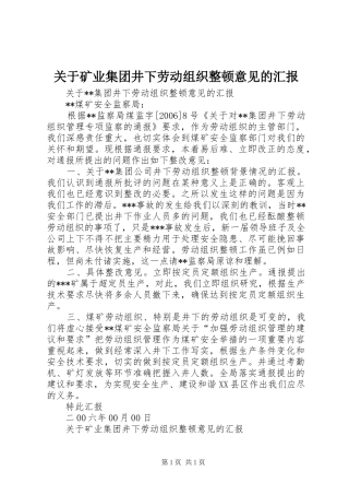 关于矿业集团井下劳动组织整顿意见的汇报