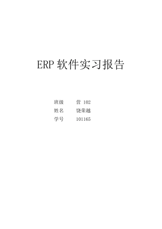 ERP软件实习报告