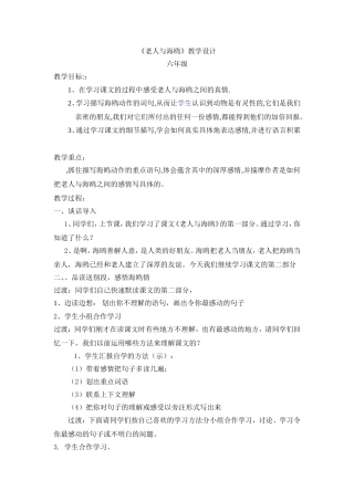 《老人与海鸥》教学设计