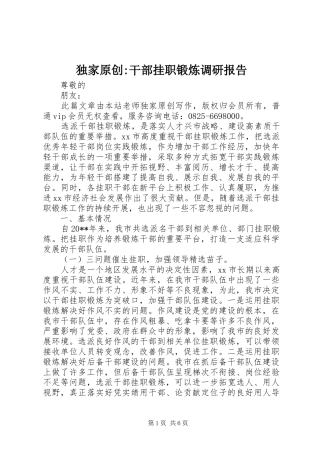 独家原创-干部挂职锻炼调研报告