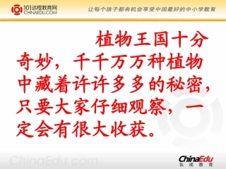 人教新课标版小学二上《植物妈妈有办法》课件