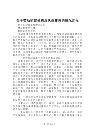 关于劳动监察机构及队伍建设的情况汇报