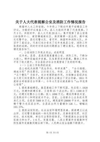 关于人大代表视察公安及消防工作情况报告
