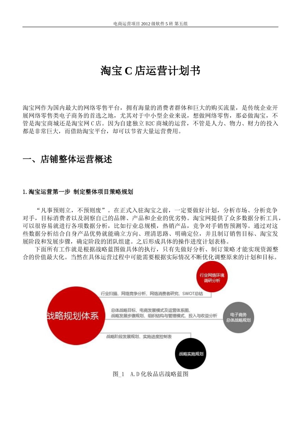 电商运营计划书(DOC30页)_第3页