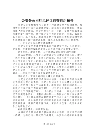 公安分公司行风评议自查自纠报告
