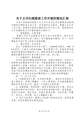 关于公司扫黑除恶工作开展的情况汇报