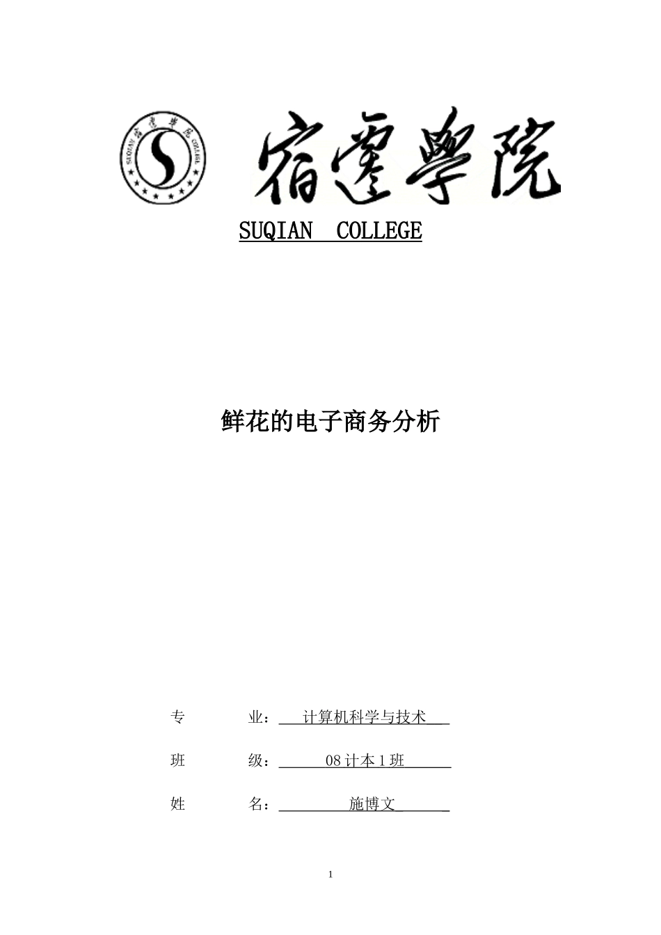 电子商务分析_第1页