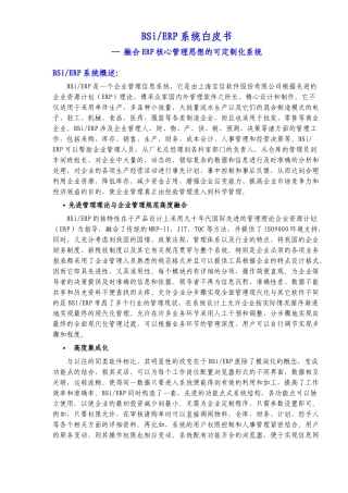 BSi ERP系统白皮书融合ERP核心管理思想的可定制化系统（DOC 38）