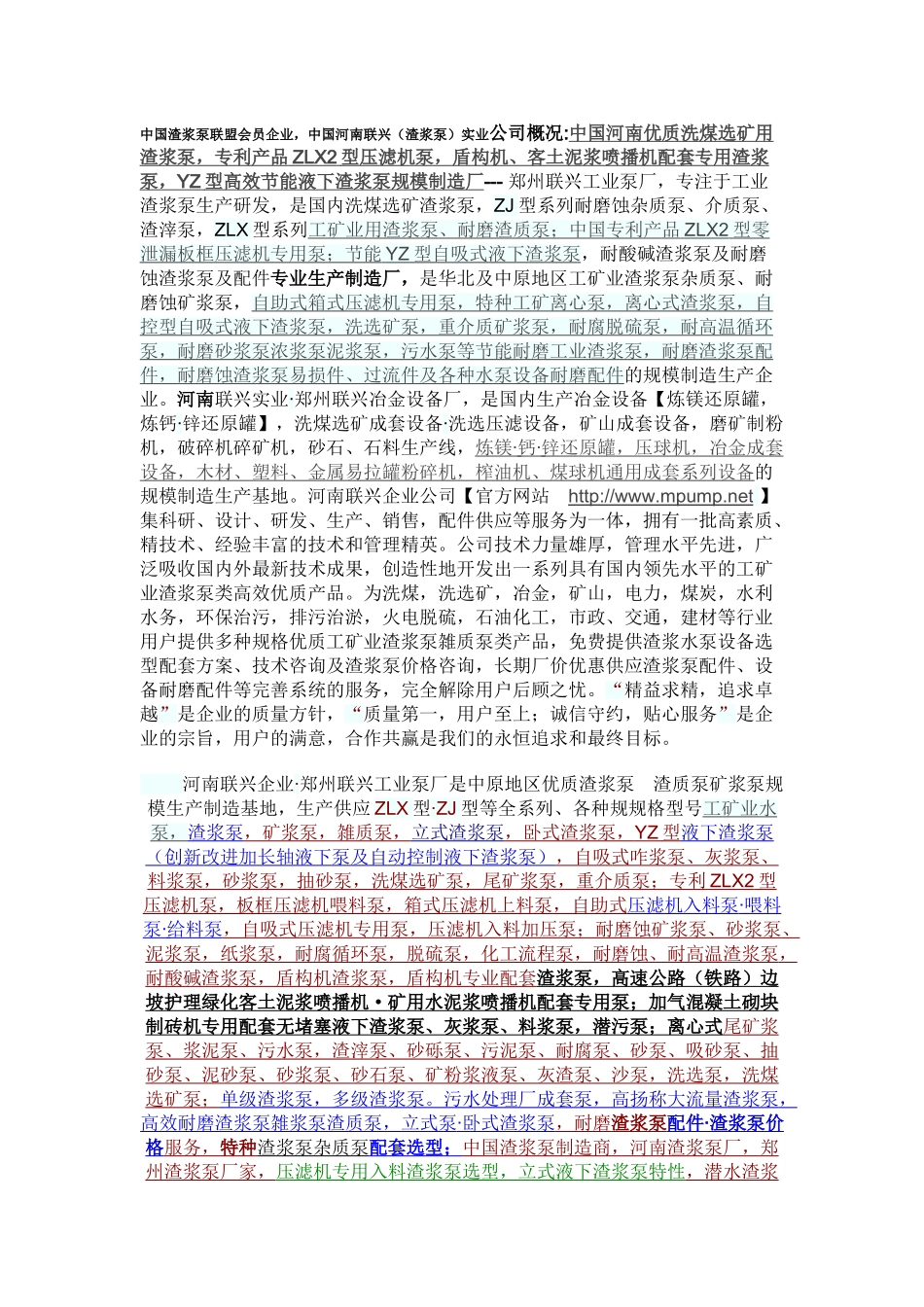 选煤选矿最佳配套渣浆泵厂_第1页