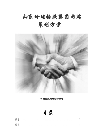 玲珑橡胶集团网站策划方案