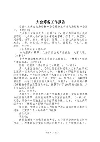 大会筹备工作报告