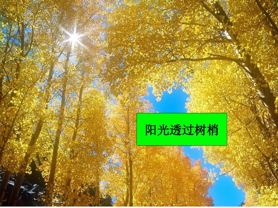 《阳光》教学课件1(1)_第2页