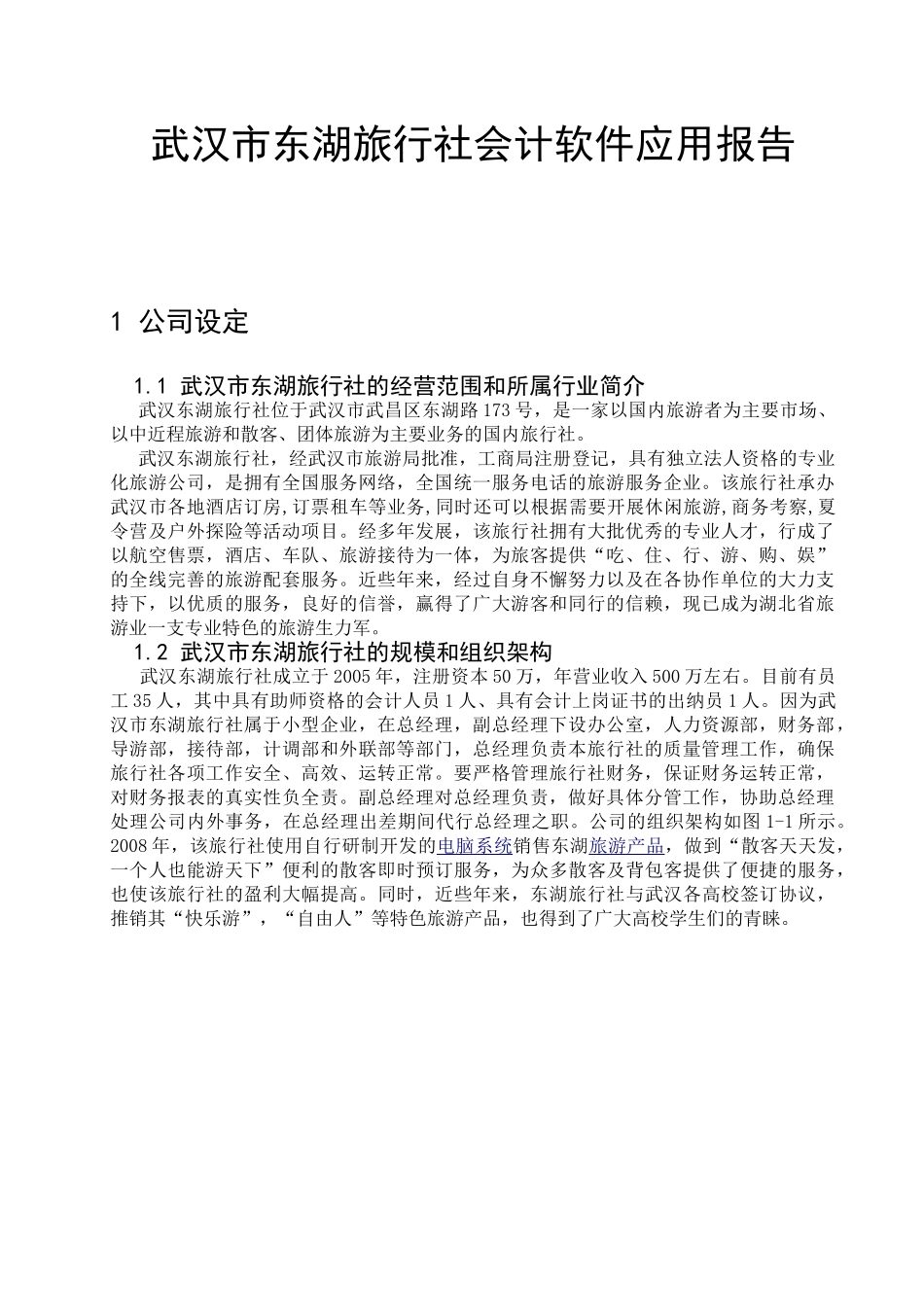 武汉市东湖旅行社会计软件应用报告_第1页