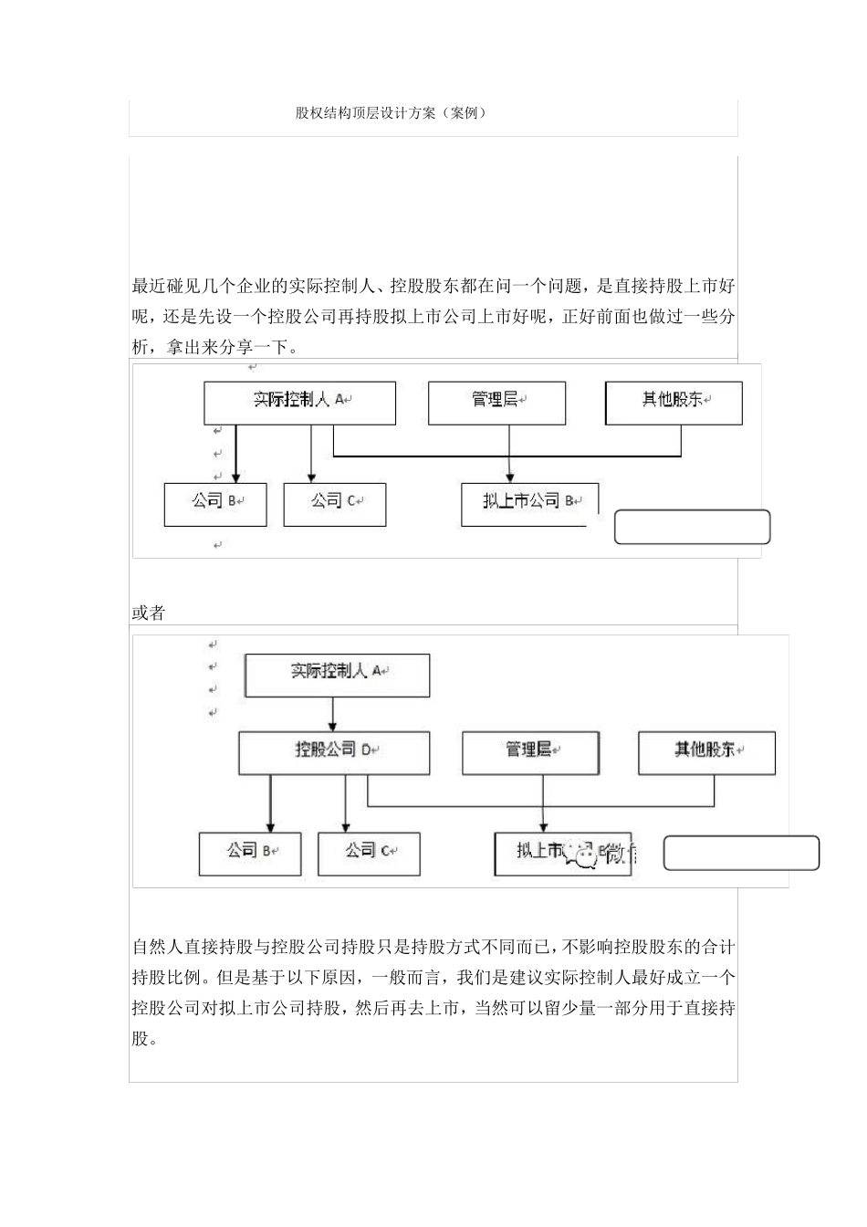 公司股权结构顶层设计方案案例_第1页