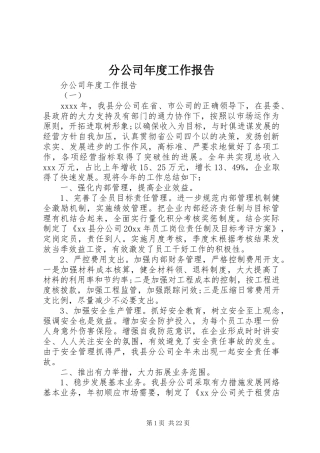 分公司年度工作报告