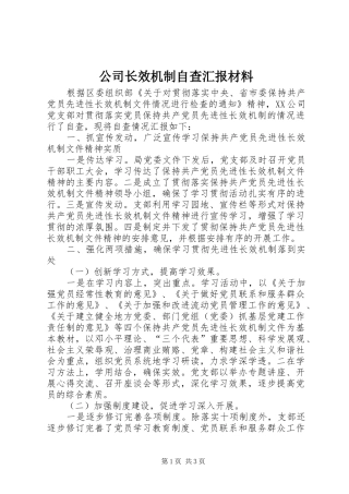 公司长效机制自查汇报材料