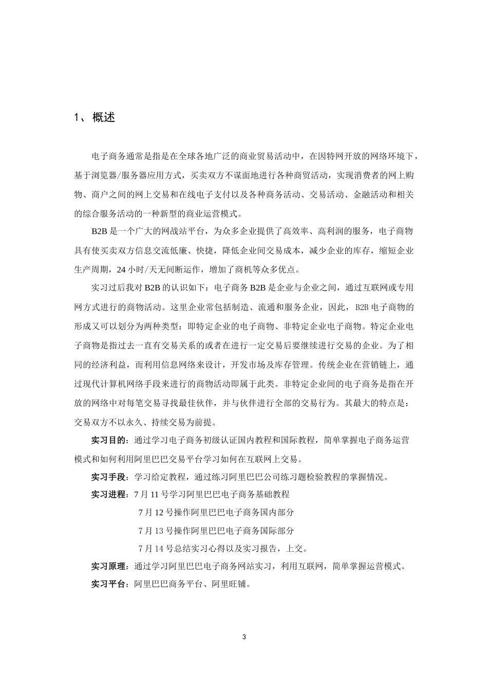 电子商务实习某科技_第3页