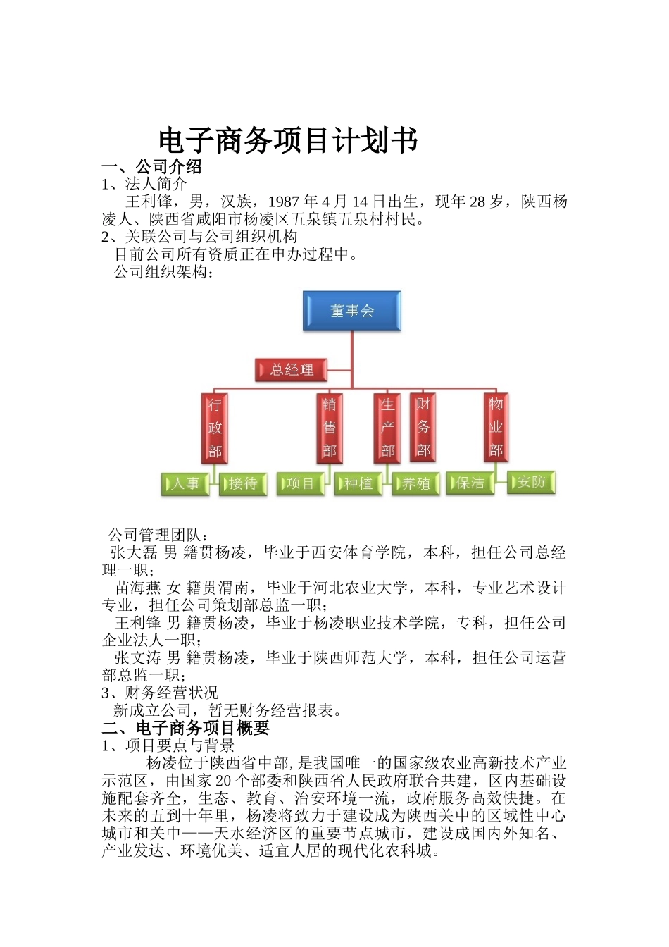 电商项目计划书(DOC31页)_第1页