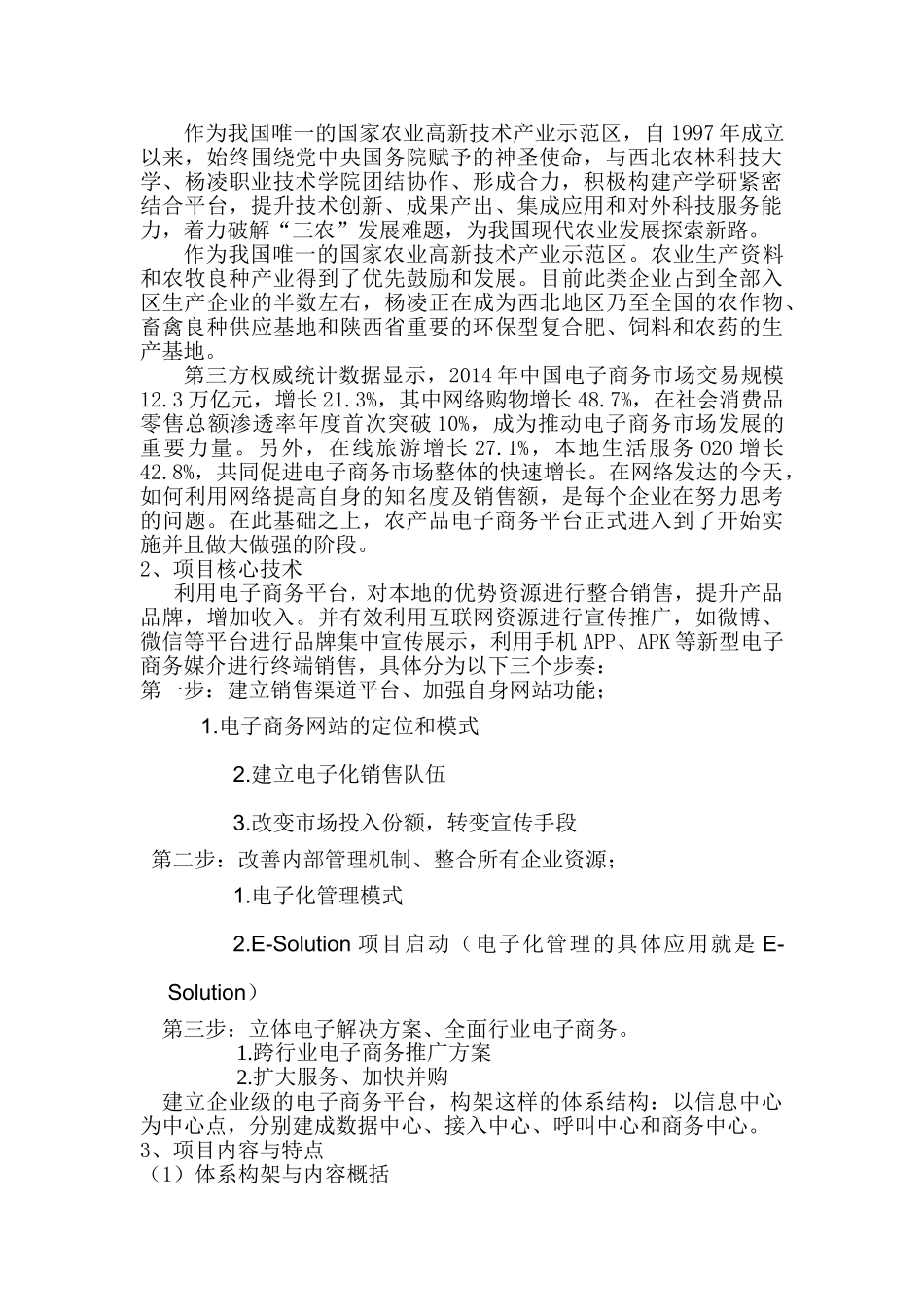 电商项目计划书(DOC31页)_第2页