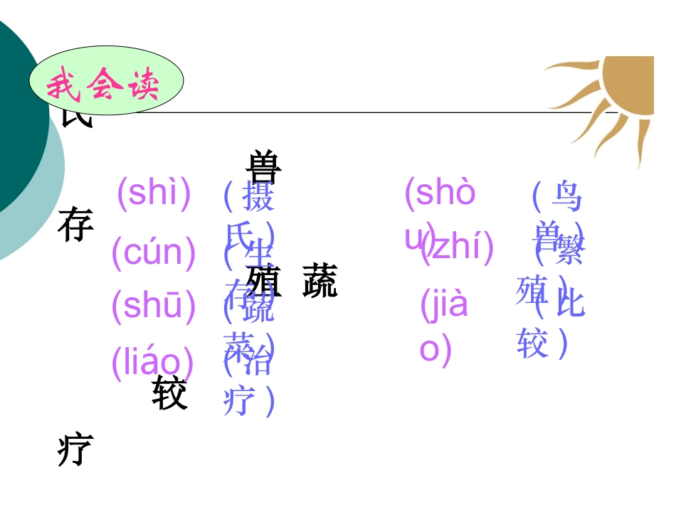太阳第一课时_第1页