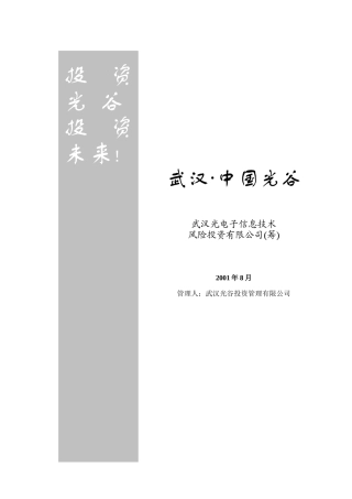 电子信息技术投资公司运作方案