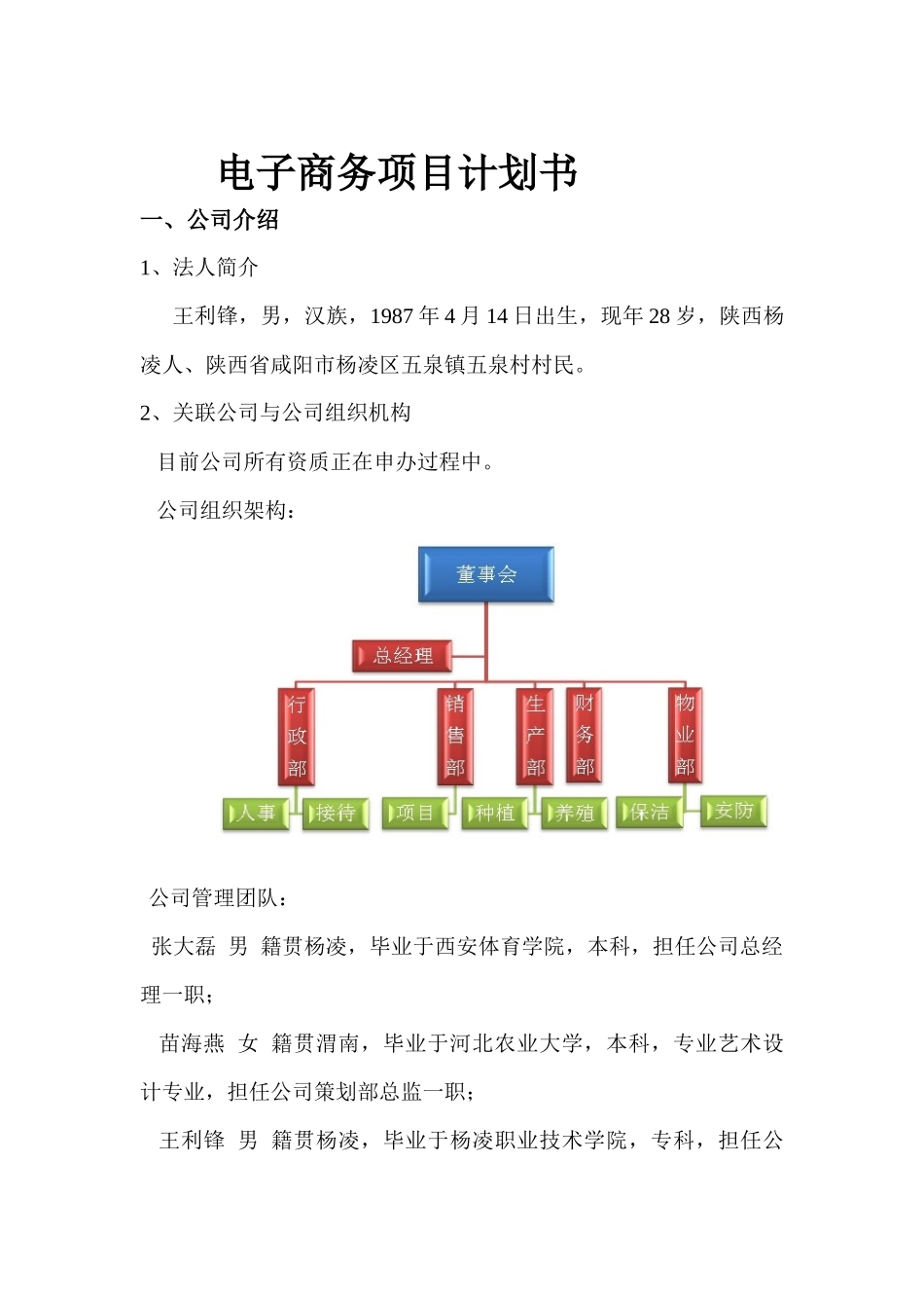 电商项目计划书_第1页