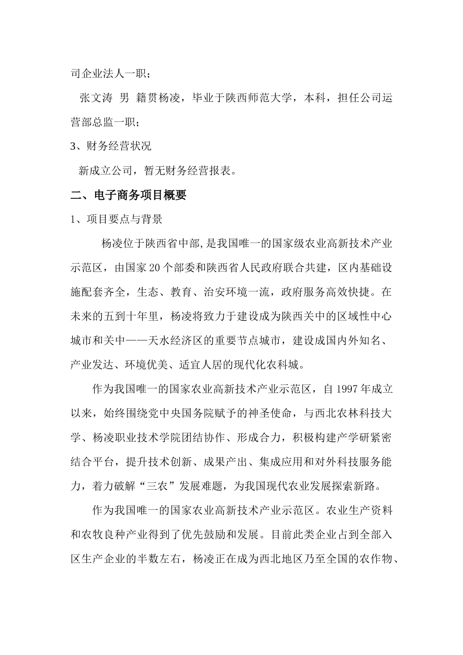 电商项目计划书_第2页