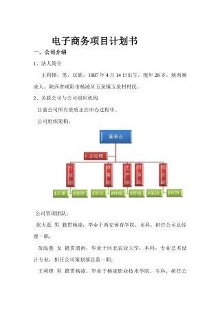 电商项目计划书
