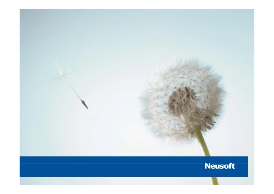 SAPHR功能介绍92174_第1页