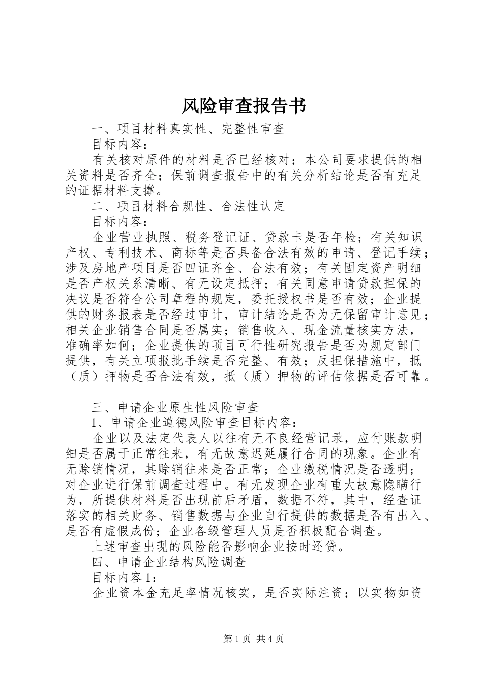 风险审查报告书_第1页