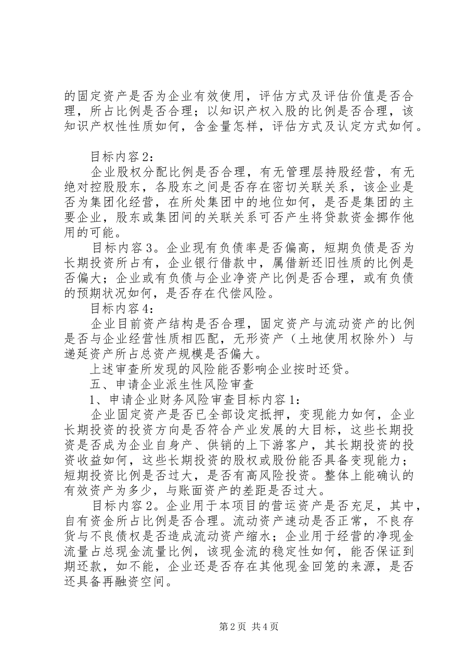 风险审查报告书_第2页