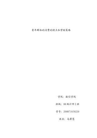 青年群体的消费的特点和营销策略1