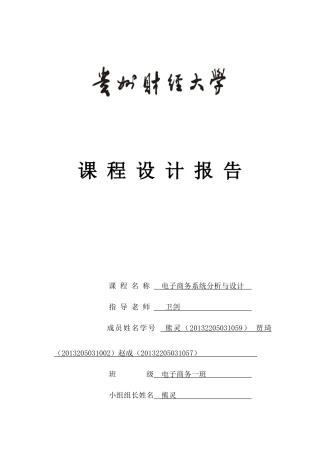 电子商务系统分析与设计报告