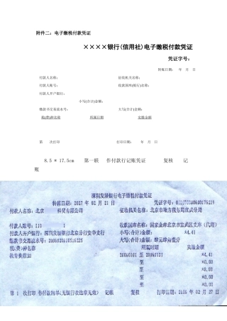 附件二电子缴税付款凭证