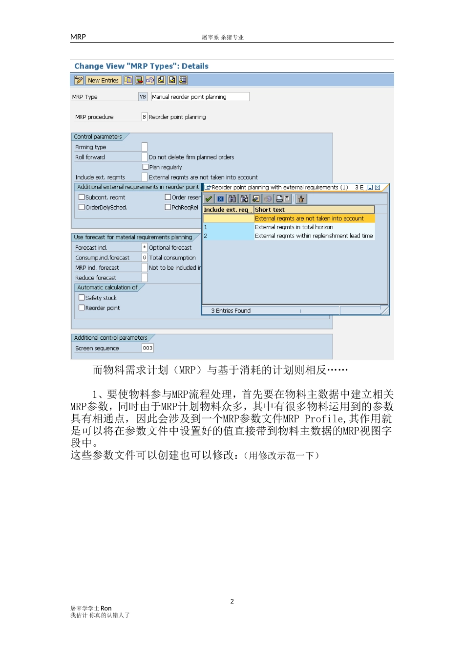 SAP-MRP(DOC46页)_第2页