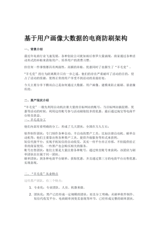 基于用户画像大数据的电商防刷架构(DOC11页)